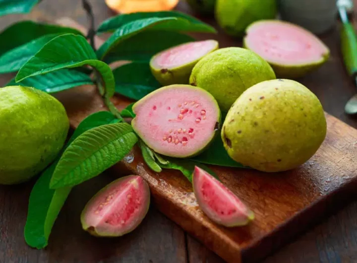 Several Benefits Can Be Gained From Guava Fruit