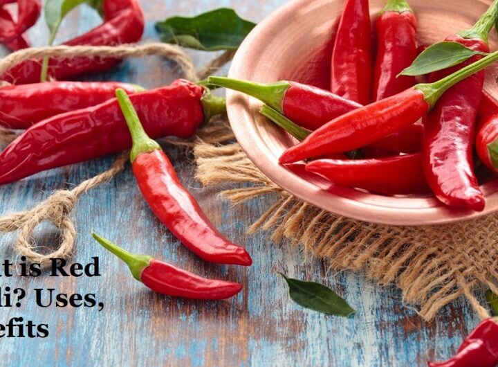 What is Red Chilli - You Should Know Uses Benefits Side Effects